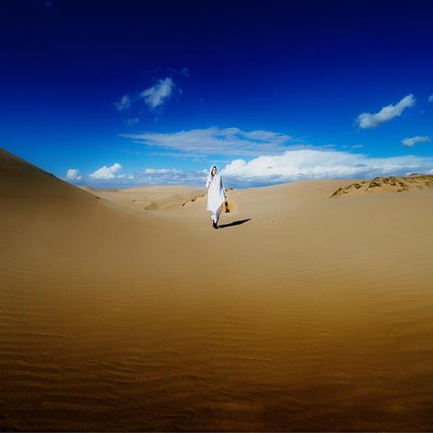 沙漠最新力作，沙海之谜揭秘