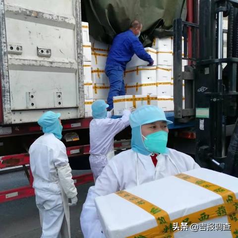 辽宁黄瓜价格行情最新分析