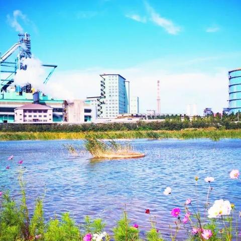 唐山渤海钢铁公告解读与分析