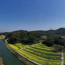 合肥湖畔新城最新消息速递