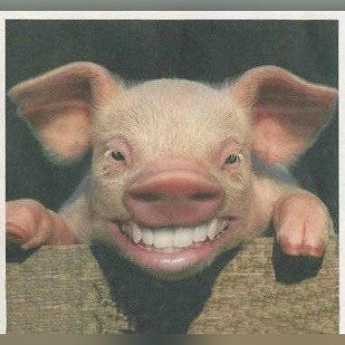 搞怪女神经头像风靡潮流