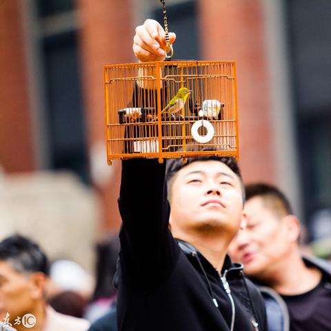 上海古玩地摊市场深度解析报告