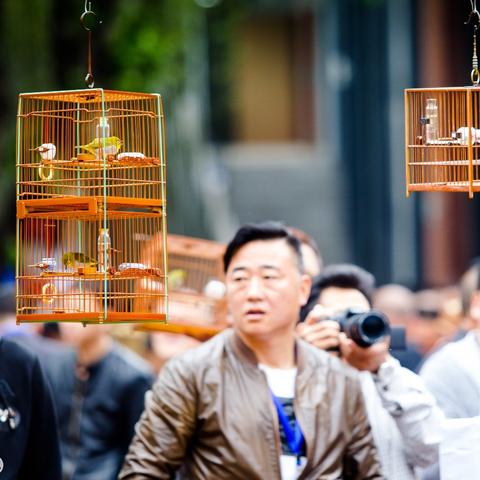 上海古玩地摊市场深度解析报告