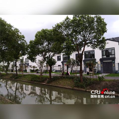 黄桥在线实时新闻更新