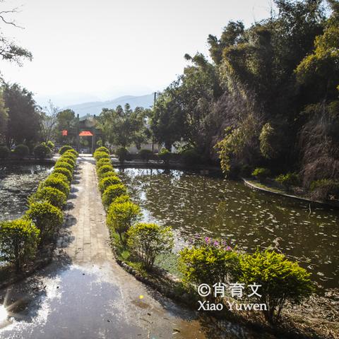 云南橡胶价格走势最新分析