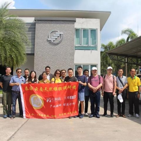 云南橡胶价格走势最新分析