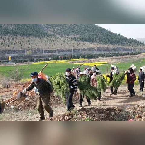 淮北烈山区发展规划详解