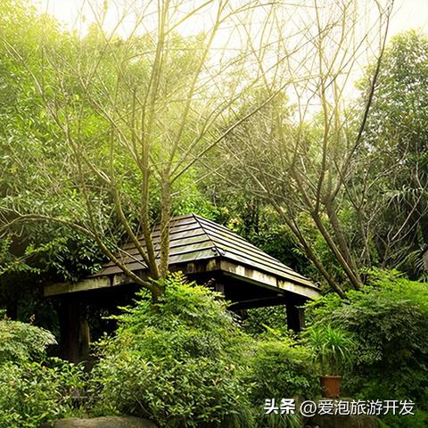 爱融汇最新新闻动态报道速递