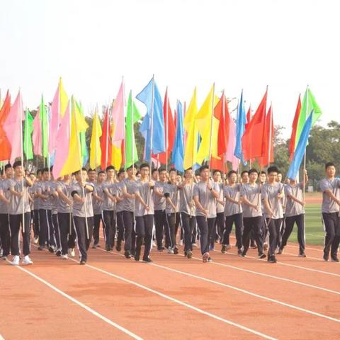 泰州王届最新消息动态