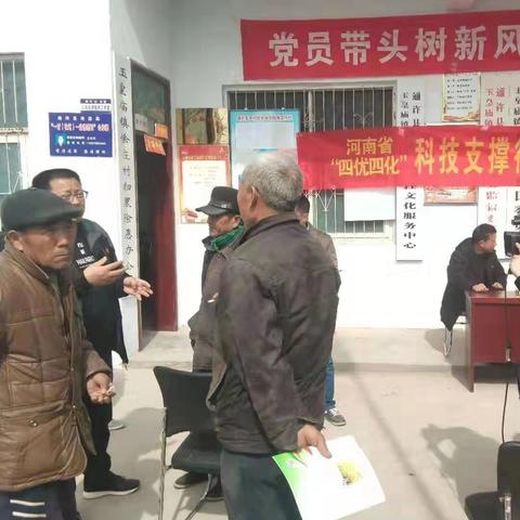 通许西瓜产地报价最新分析