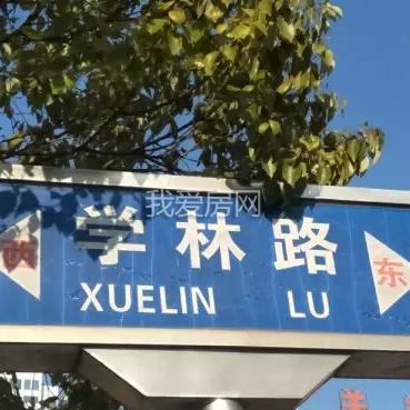 新站区楼盘全面解析报告