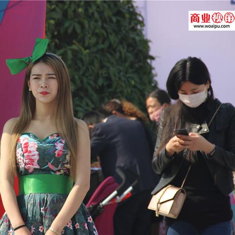 新站区楼盘全面解析报告