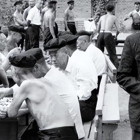 猪圈设计新图解析与介绍