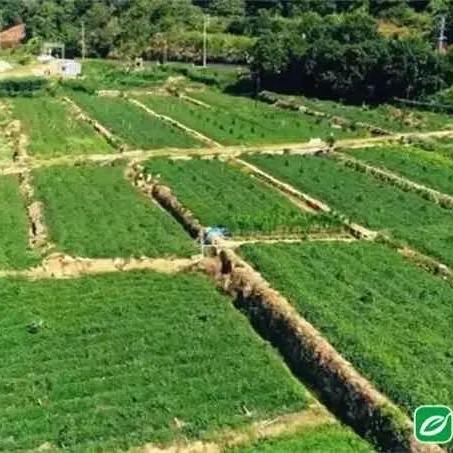 中组部最新干部公示消息发布