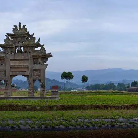 古镇物流公司最新联系方式及服务详解