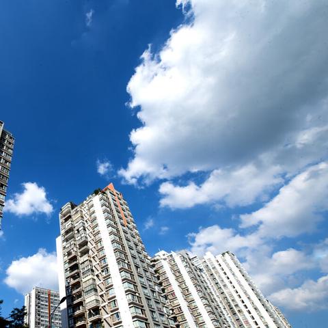 最新楼市动态深度解析