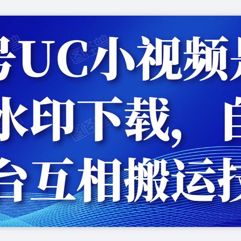 QT助手手机版功能特性详解,最新更新介绍