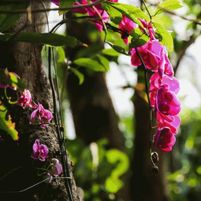 唐山兰亭最新进展报告