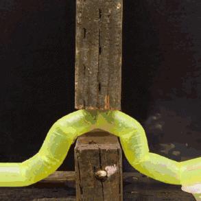 快穿变态数据报告，深度解析最新趋势