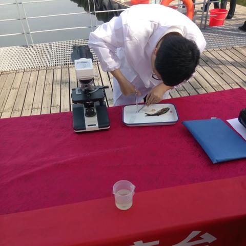 西安最新放鱼资讯，投放数量及生态保护举措全解析