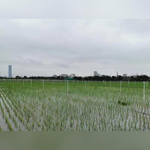 水利未来蓝图，高效可持续建设新定额揭秘，展望水利2025新篇章