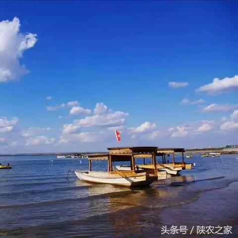 定边小镇最新招聘信息全汇总