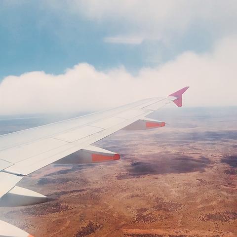 澳洲小哥荒野求生新进展，极限挑战独自求生