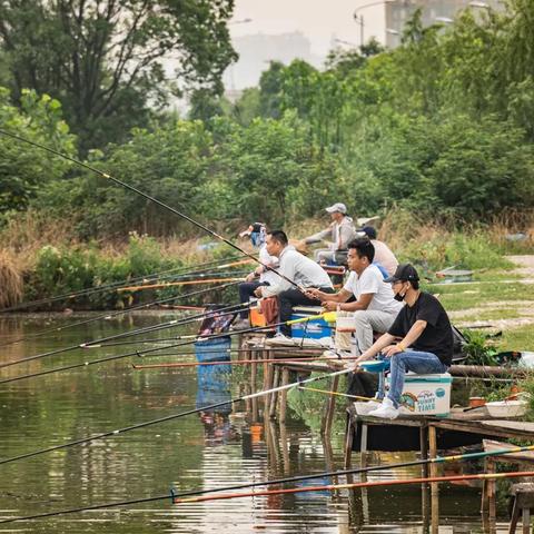武汉天元钓鱼新技巧解析与实战分享视频