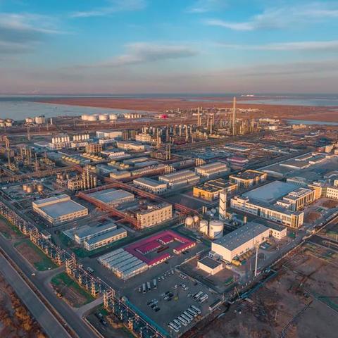 大沽化搬迁最新动态消息