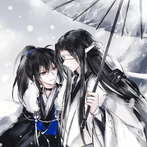 最新收养政策2025概览