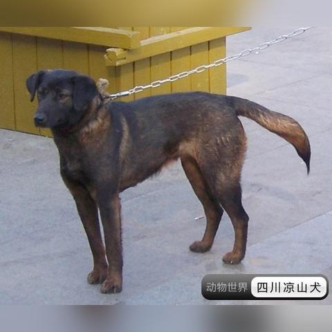 半导体照明器件制造 第190页