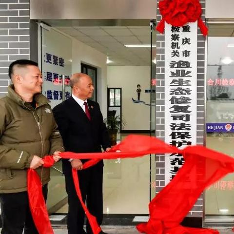 合川区委常委最新名单解析