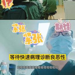 船东直招大厨，海上美食天堂诚邀厨艺高手加盟