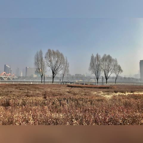 太原汾河桥最新规划揭秘