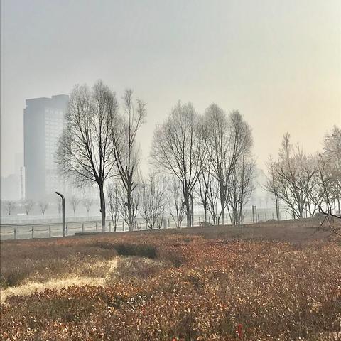 太原汾河桥最新规划揭秘