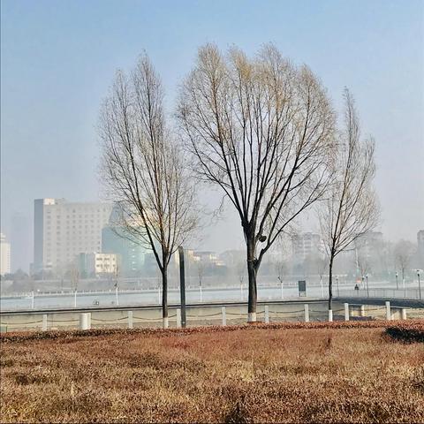 太原汾河桥最新规划揭秘