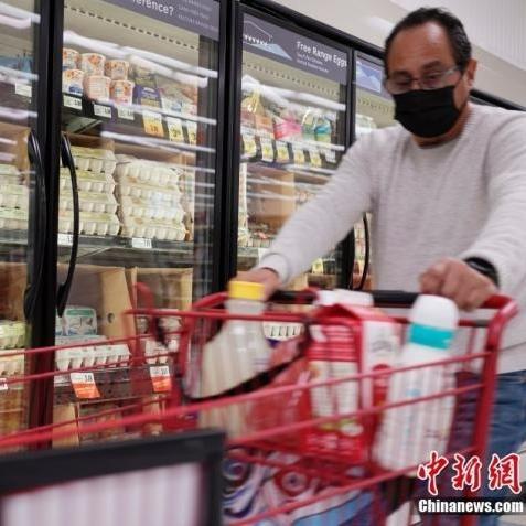 中国禽流感最新消息动态