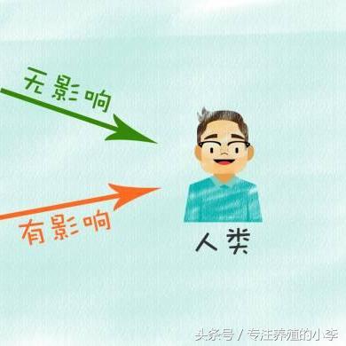 中国禽流感最新消息动态