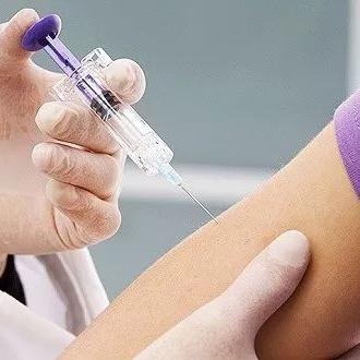 中国禽流感最新消息动态