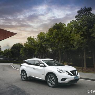 最新网络角色游戏重塑虚拟世界魅力与机遇体验