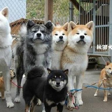 QQ空间说说尾巴大揭秘,最新流行趋势你Get了吗?