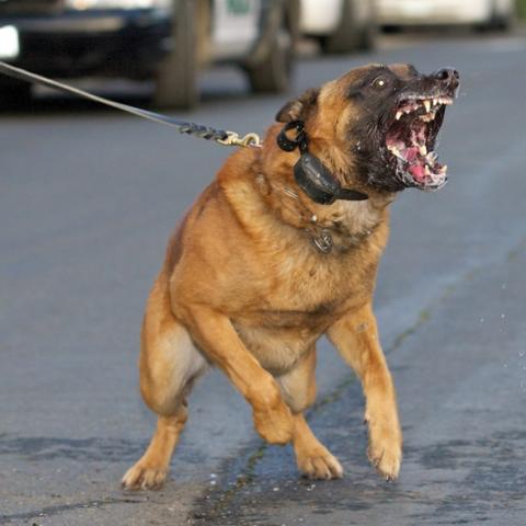 QQ空间说说尾巴大揭秘,最新流行趋势你Get了吗?