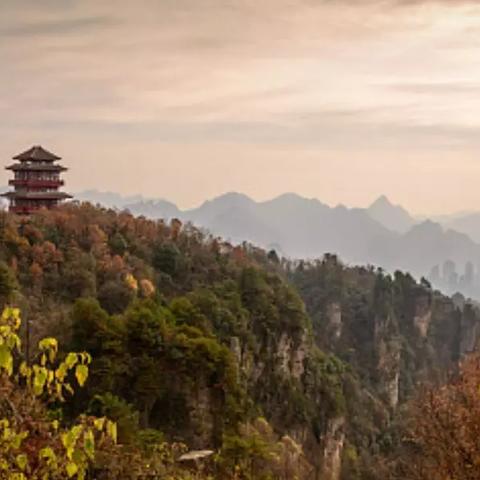 高天古道最新进展及未来步伐揭秘，数据与动态同步更新