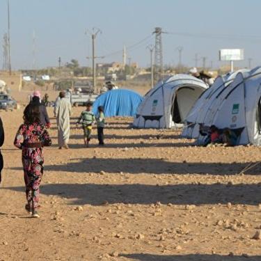 俄罗斯叙利亚最新战况深度剖析