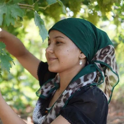 吐鲁番人事任命动态更新