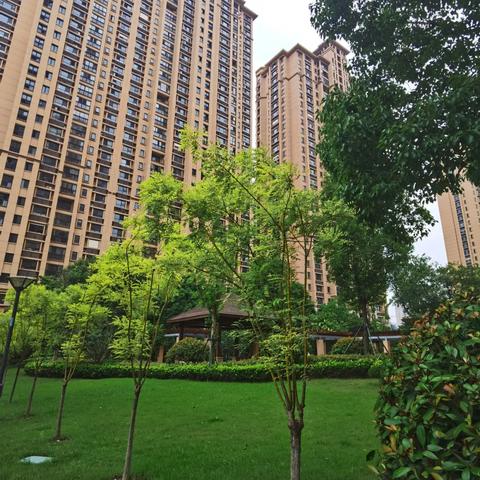 苏州房产新闻更新速递