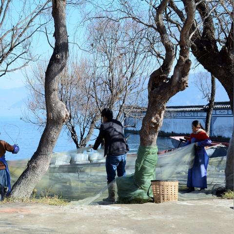 风月资源研究报告，最新整理概览