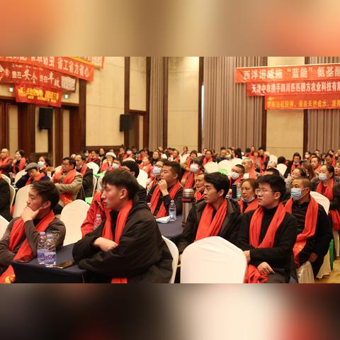 八匹最新作品，科技与艺术的交融之作