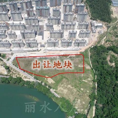丽水房产拍卖市场热度及未来趋势解读