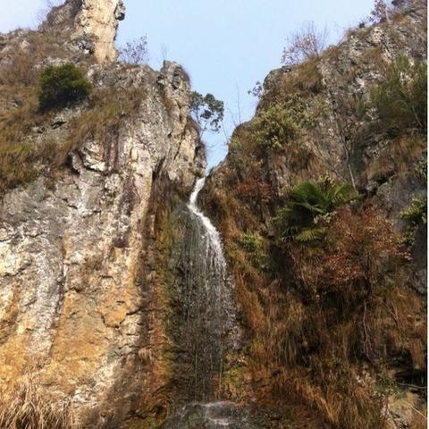 学生野战视频最新分析与观察报告分享